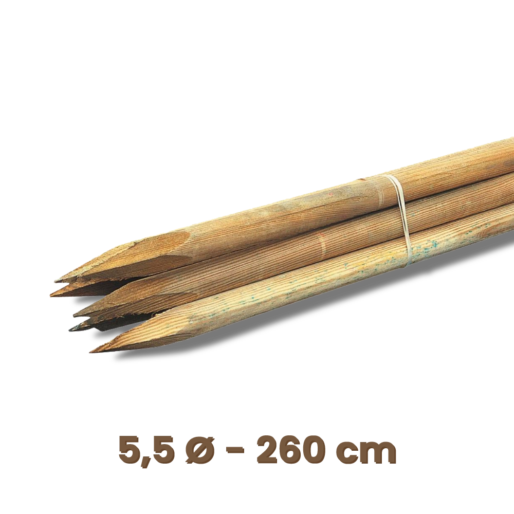 Illustration du casino en ligne